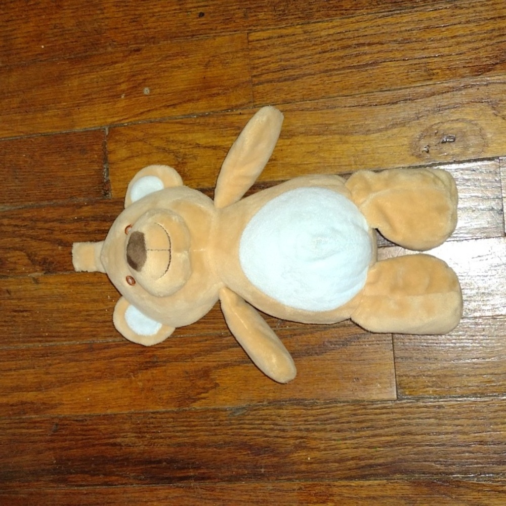 Teddy Bear Plush Toy